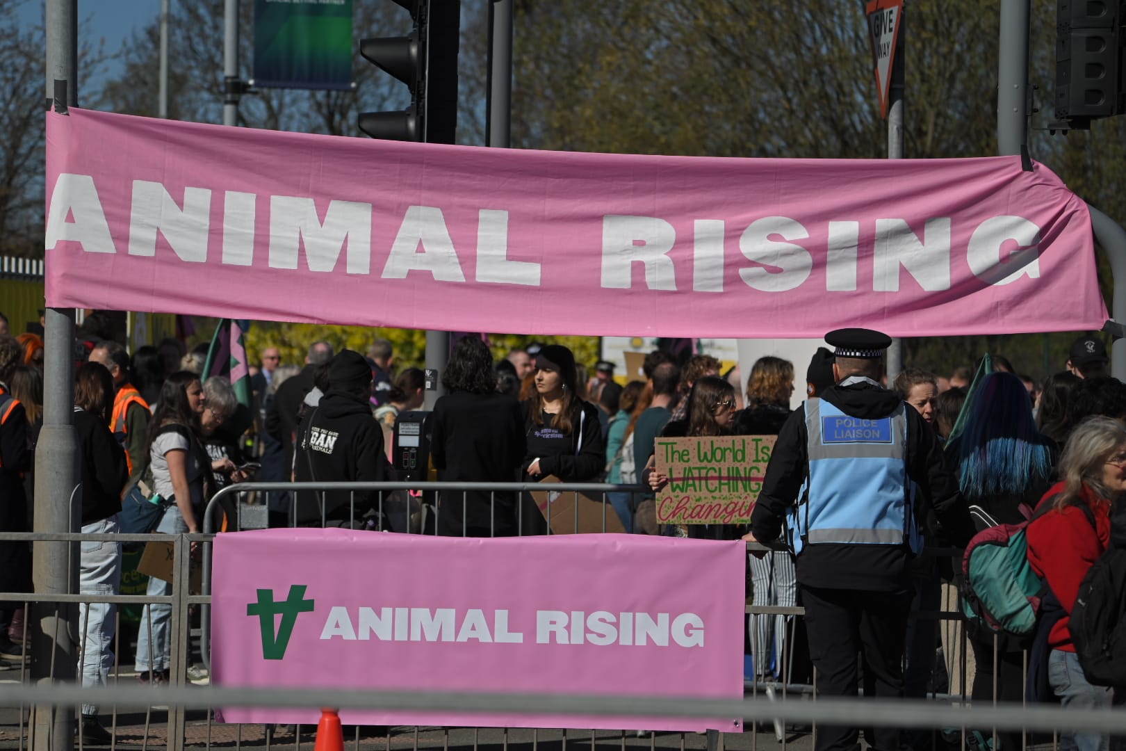 Animal Rising wants an end to horse racing