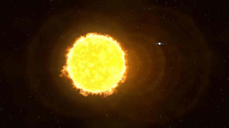 White Dwarf Star Next to the Sun