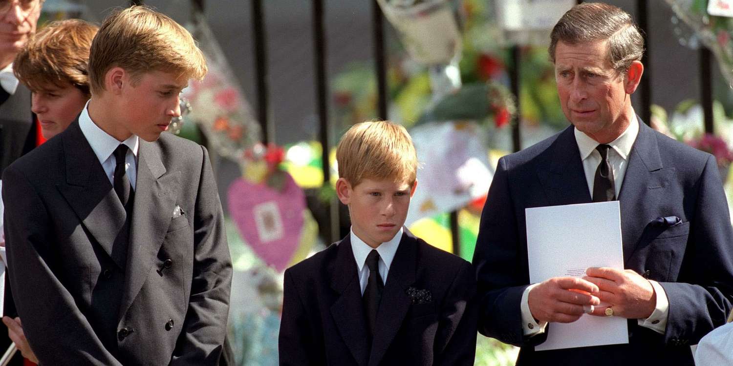 How Prince William and Prince Harry Felt Walking Behind Princess Diana's Coffin
