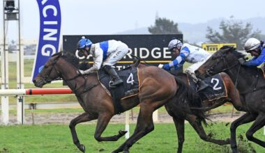 Battle for 3-year-old filly supremacy heats up at Ellerslie