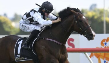 Te Rapa punting advice: Bet late and play wide on tricky track