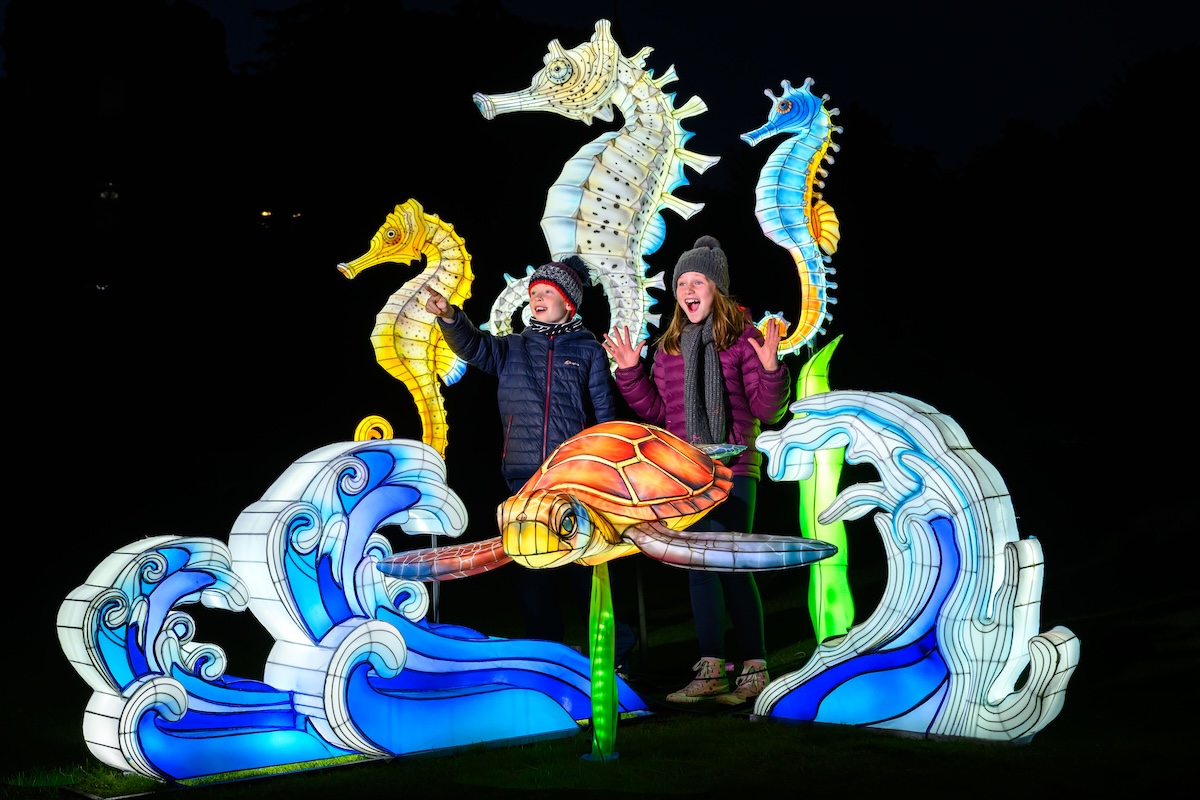 Get your tickets now for the Giant Lanterns trail