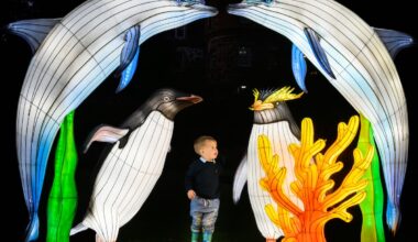 Five things you need to know today