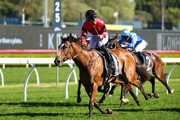 Tommy Berry and Apocalyptic win the Tea Rose Stakes.