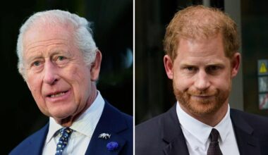 Prince Harry insists Spare was ‘accountability, not revenge’ after emotional reunion with King Charles