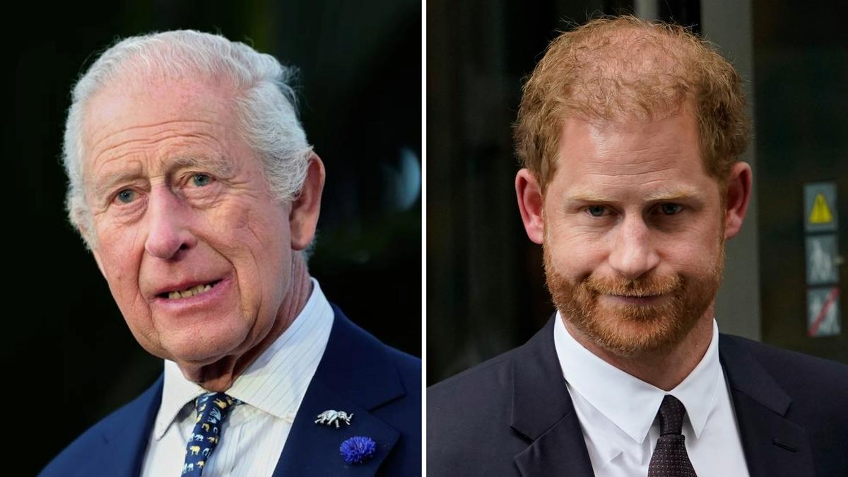Prince Harry insists Spare was ‘accountability, not revenge’ after emotional reunion with King Charles