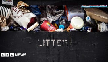 An overflowing rubbish bin