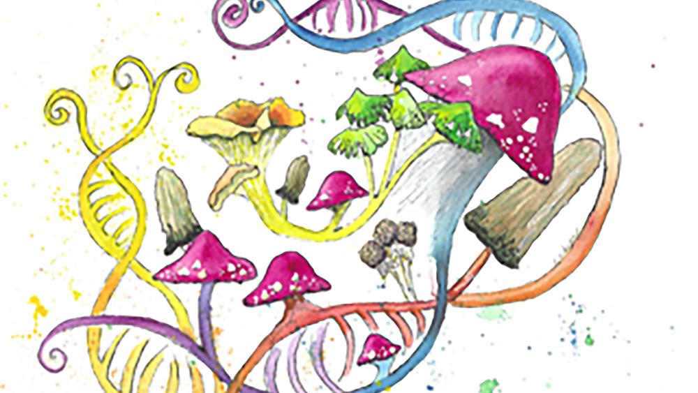 Connection among gut fungi, genetics and disease risk in humans identified