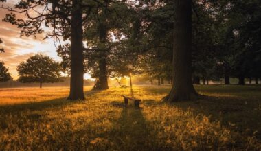 London Is Home To Two Of The Best Places To Take An Autumn Walk
