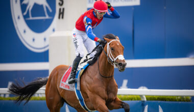 Download app from appStore