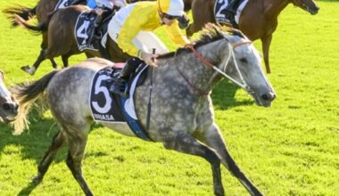 Subscribe to Code Sports for exclusive stories