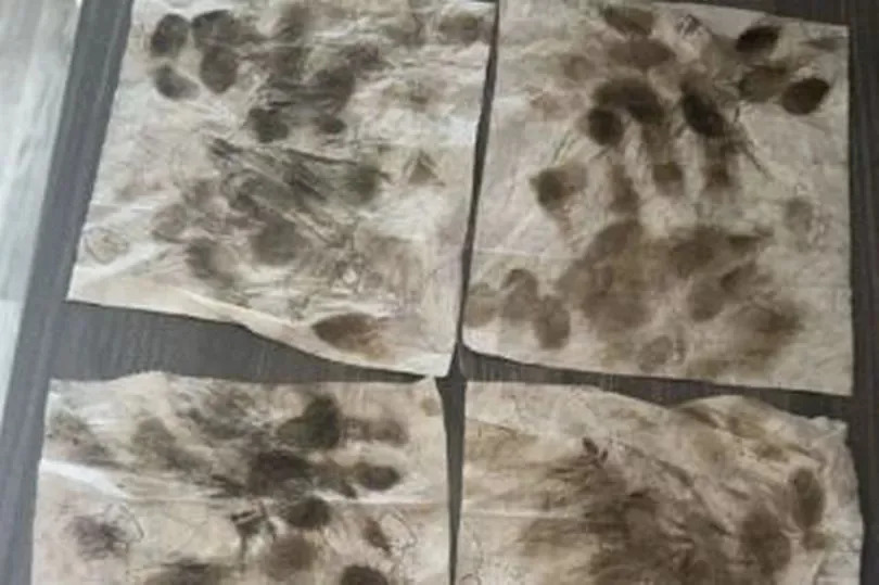 Dom and Shannon felt like they had to constantly wipe everything with mould to stop their children from touching it