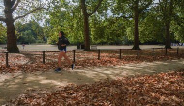 The worrying 'false autumn' phenomenon getting more common in the UK