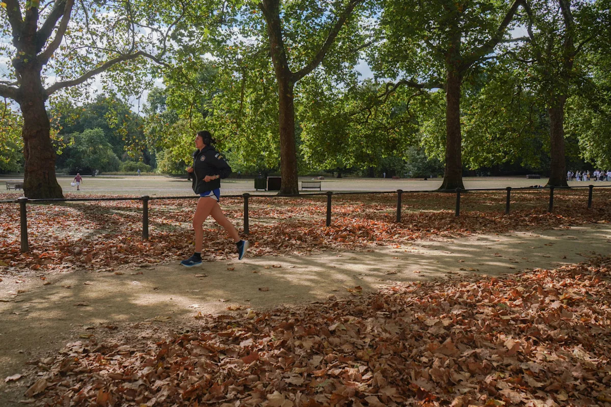 The worrying 'false autumn' phenomenon getting more common in the UK