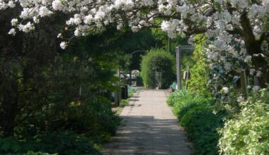 These Gorgeous, Free Gardens Are Ideal For Those In Need Of A Serene Escape From The Daily Hubbub Of Birmingham