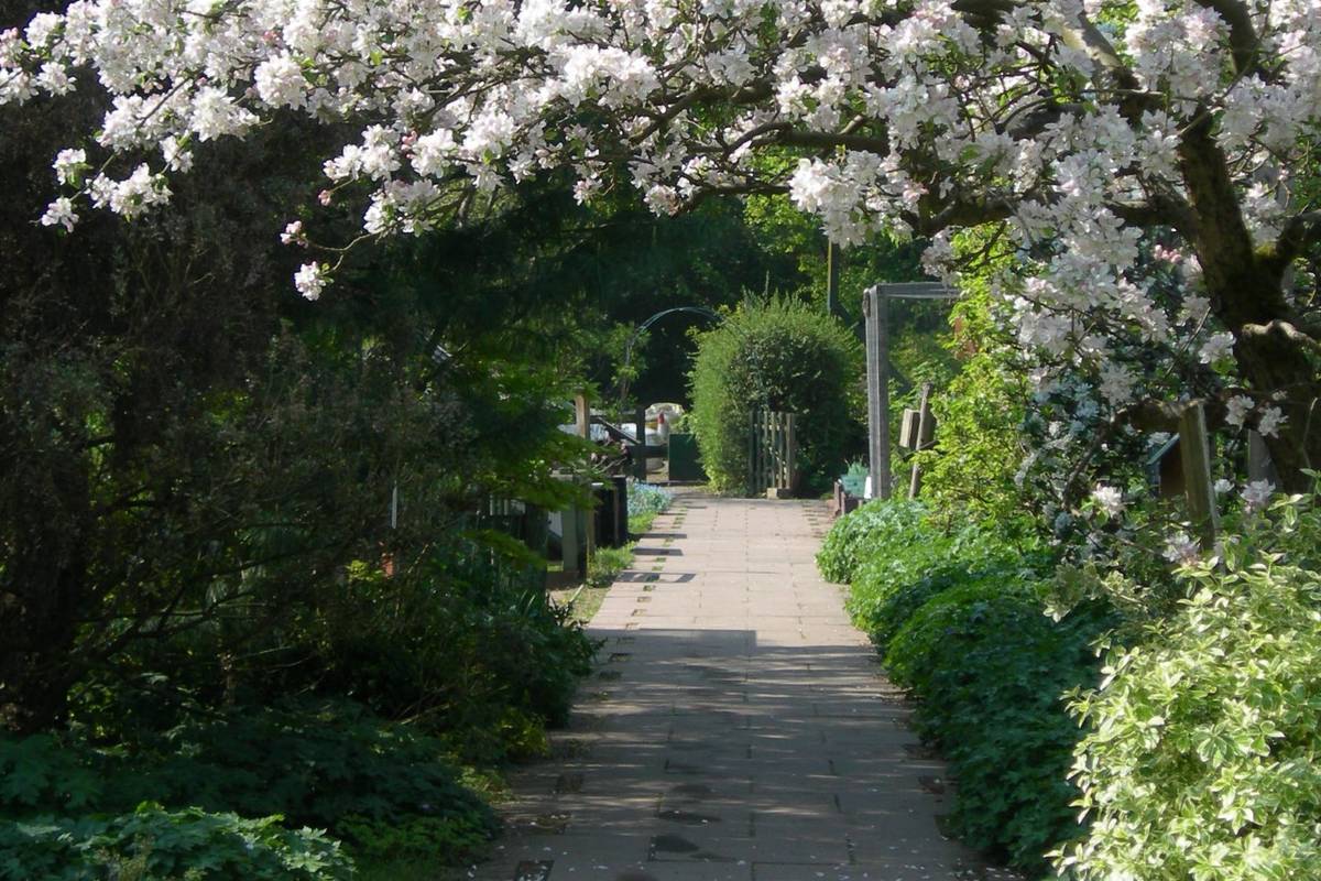 These Gorgeous, Free Gardens Are Ideal For Those In Need Of A Serene Escape From The Daily Hubbub Of Birmingham