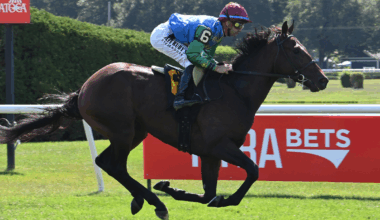 Bottas makes second start in G2 Pilgrim