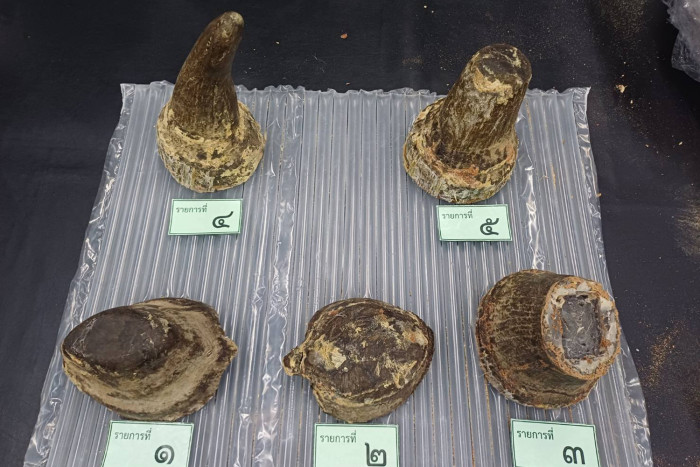 Bangkok Post - Vietnamese caught smuggling rhino horn at Suvarnabhumi