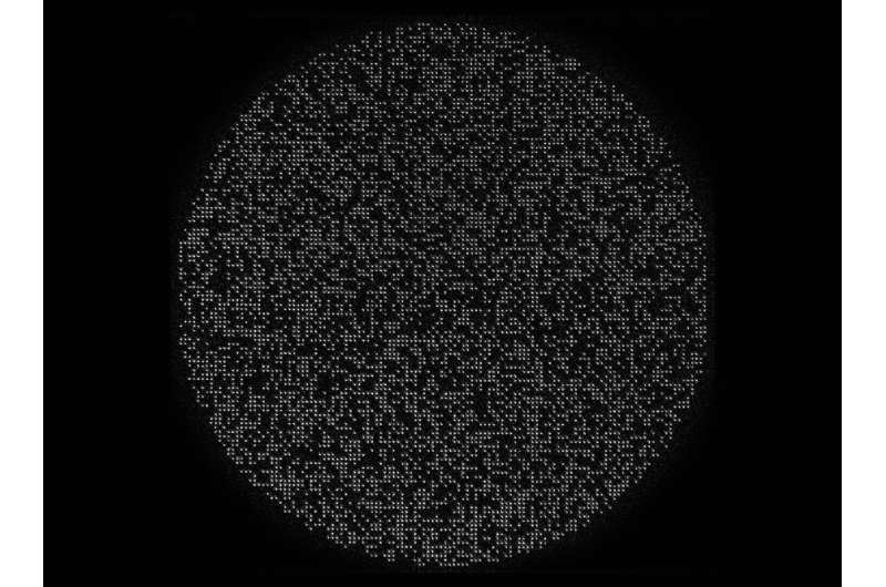 Caltech team sets record with 6,100-qubit array