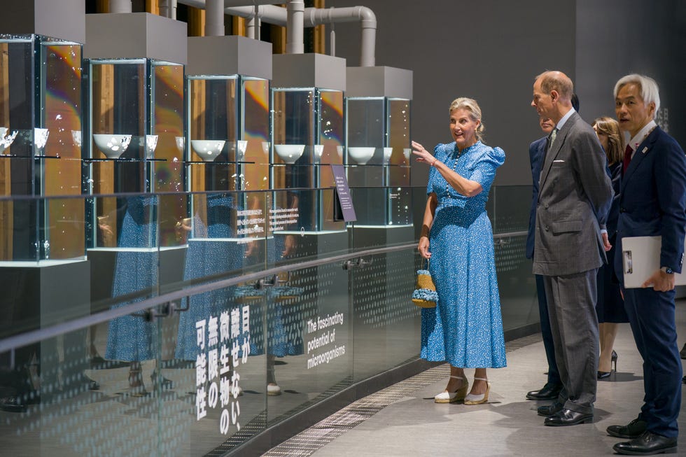 Royal visit to Japan - Day 4