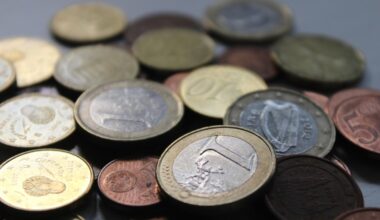bne IntelliNews - Argentine government to intervene in FX market amid volatility