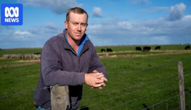 Limestone Coast is a food bowl and forestry powerhouse, but its water supply is under threat