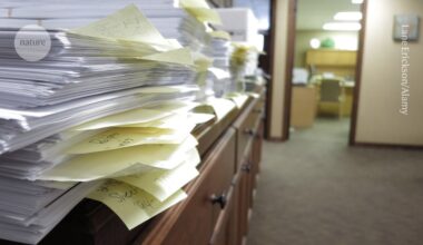 Europe’s largest paper mill? 1,500 research articles linked to Ukrainian network