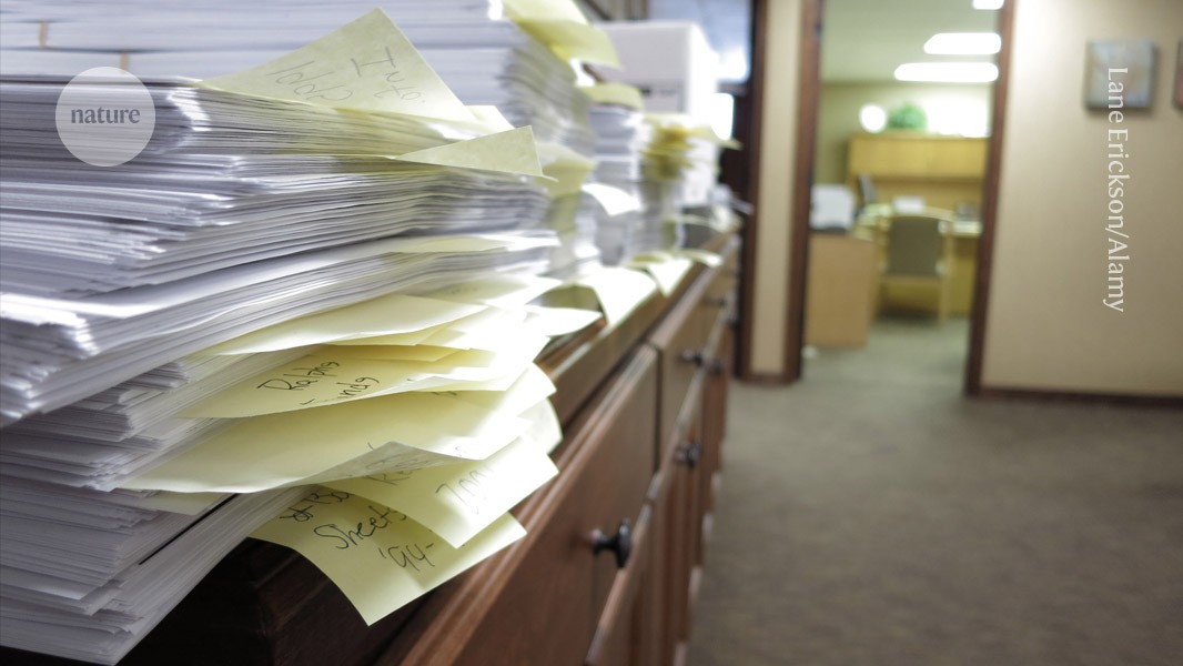 Europe’s largest paper mill? 1,500 research articles linked to Ukrainian network