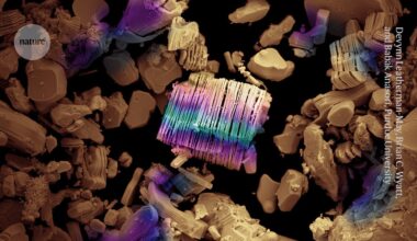 Chemists cram record nine metals into trendy 2D material