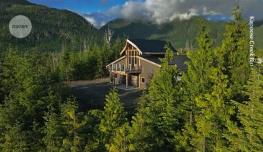 how to choose a science-company name that delights customers, colleagues and investors