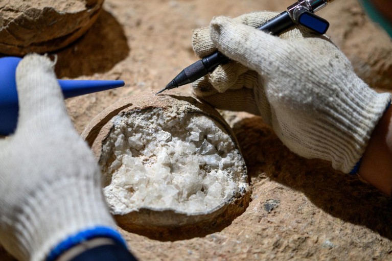 Close up view of a dinosaur egg fossil being sampled for geochronology.