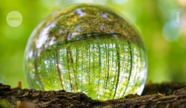 should research on mirror-image molecular biology be stopped?