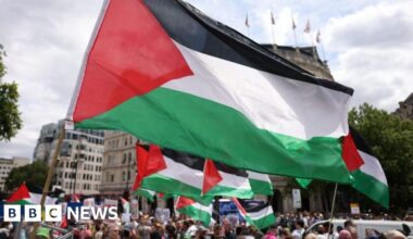 Government can challenge group's appeal against ban