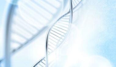Contribution of Genetics, Environment, and Inflammation to Development of Severe Mental Illness
