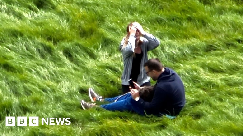 Father and daughter in a grassy field. Dog is in the man's lap. The girl has her head in her hands and is crying.