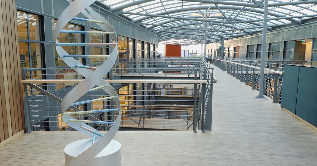 Decoding the Genetics of Obesity