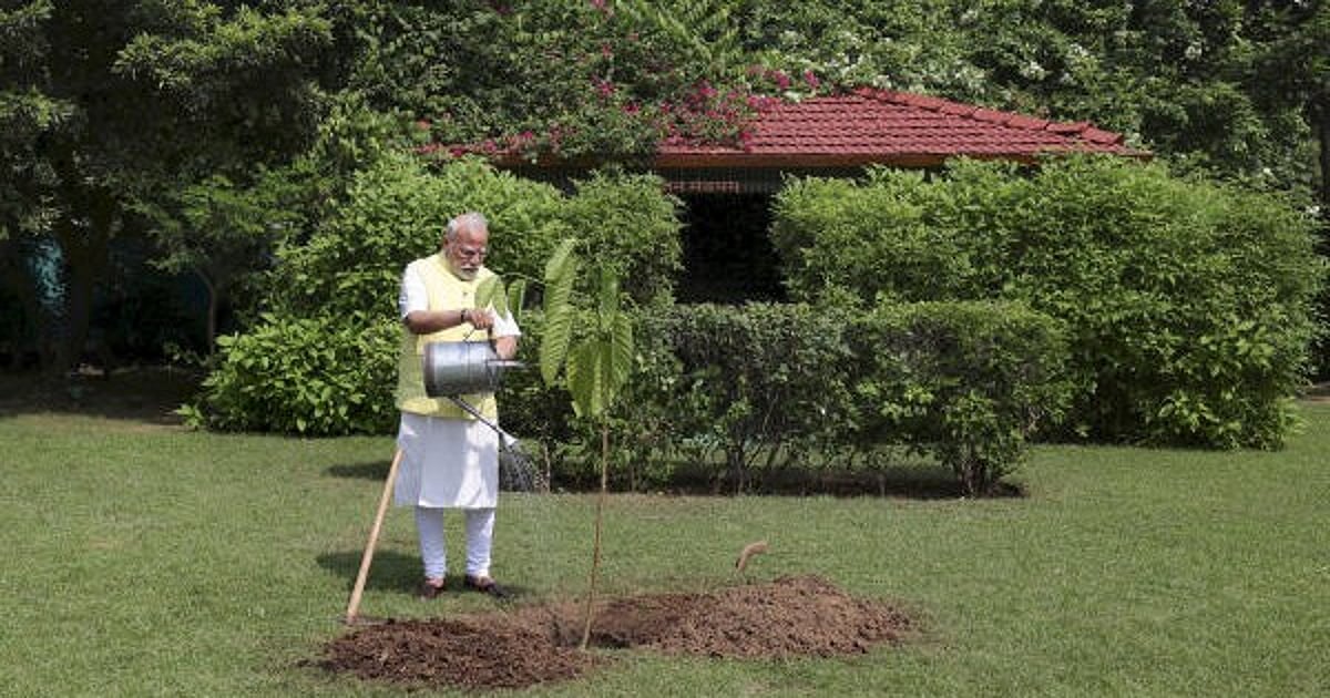 PM Modi Plants Kadamb Sapling Gifted by King Charles III on 75th Birthday