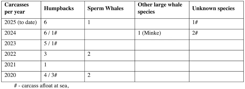 Data from DCCEEW showing whale mortalities from 2020 to 2025.