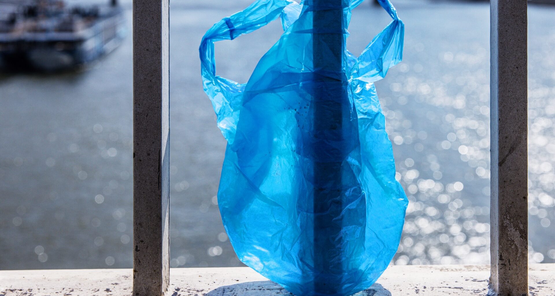 "Plastic waste has become a very concerning and dangerous problem all around the world."