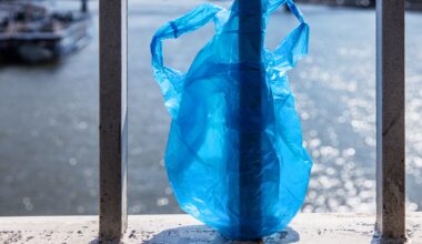 "Plastic waste has become a very concerning and dangerous problem all around the world."