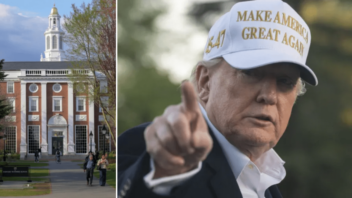Defeats are stacking up for Trump as Maga loses faith