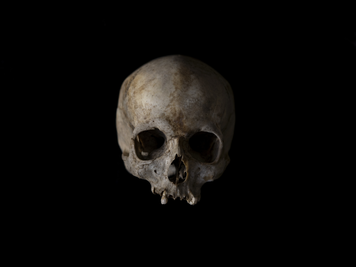Swiss museums with thousands of human remains from colonies