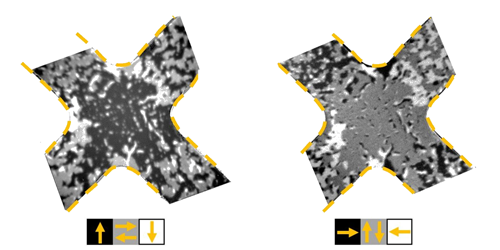 How to Switch an Antiferromagnet