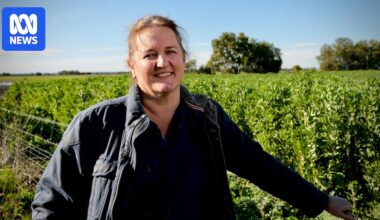 Even without Trump's tariffs, Australian farmers are losing out on billions of dollars