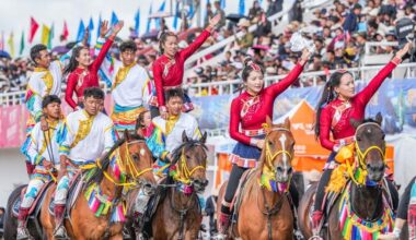 Traditional horse racing festival kicks off at Xizang's Nagqu festival