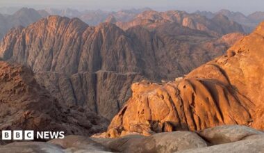The St Catherine's Monastery as seen from the outside. It is a walled structure with several buildings inside, with the monastery's gardens attached to one side, which are green with some trees inside. The surrounding area is rocky with the ground sloping up behind the monastery at the foot of a mountain