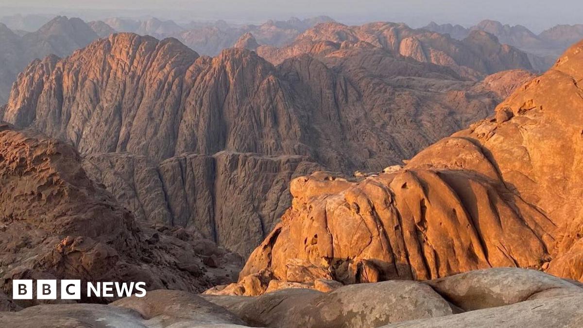 The St Catherine's Monastery as seen from the outside. It is a walled structure with several buildings inside, with the monastery's gardens attached to one side, which are green with some trees inside. The surrounding area is rocky with the ground sloping up behind the monastery at the foot of a mountain