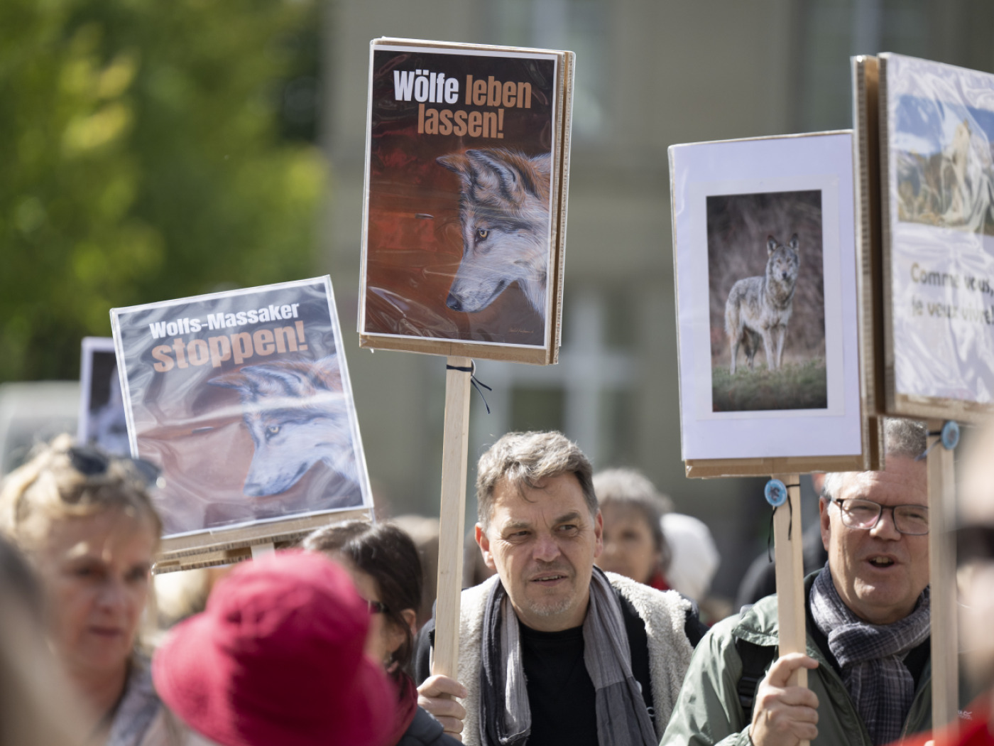 Hundreds demonstrate in Bern against wolf culls