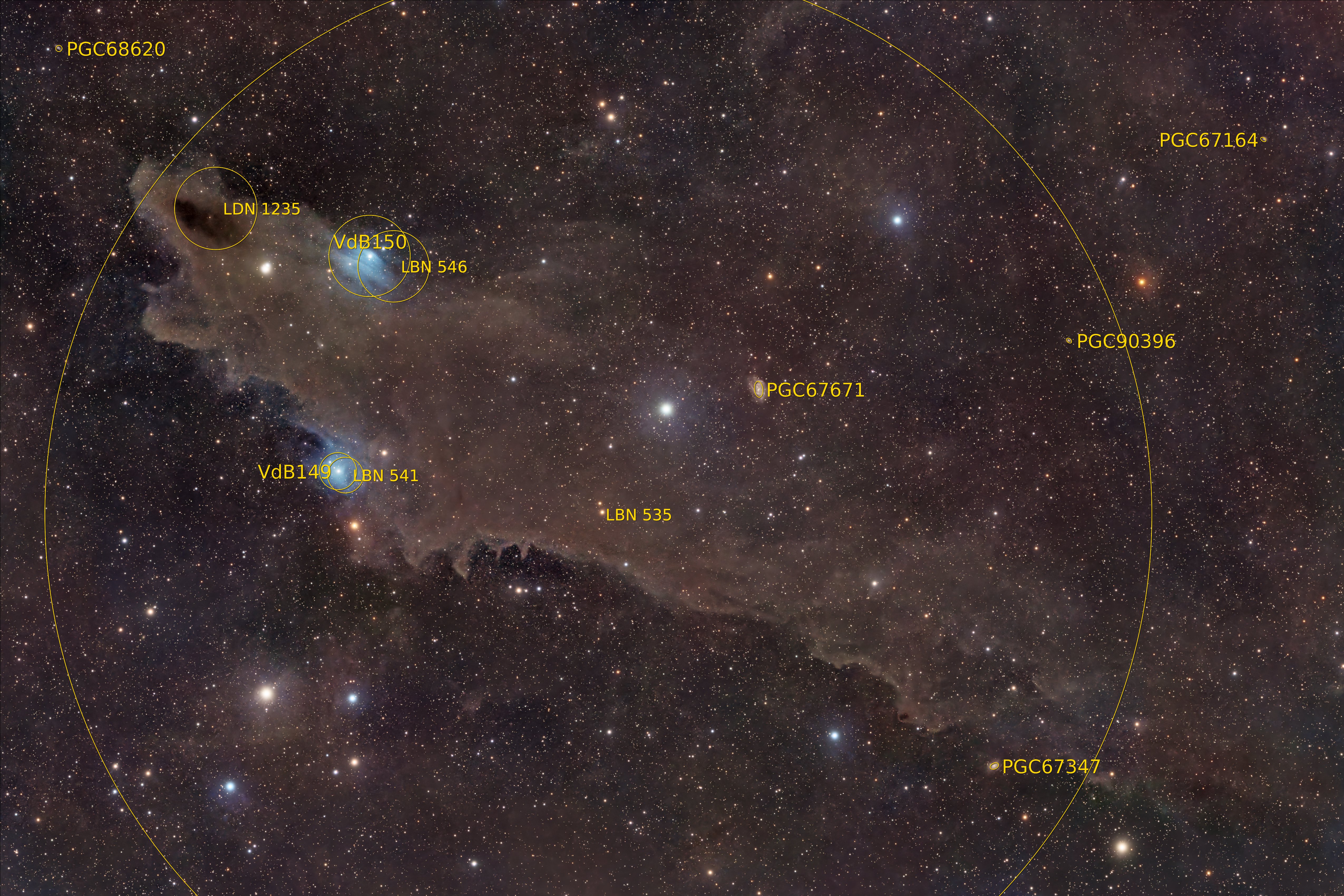 A huge cloud of dark brown gas is pictured hanging against a colourful starfield. The left section of the cloud takes the form of a gaping shark's may as seen from the side, with a bright star forming its eye, while the remainder forms the body to the right of the image with a suggestion of dorsal and pectoral fins. The image is labelled with circles showing the designations and approximate locations of the deep sky objects that form the cosmic shark.