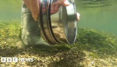 River Itchen study reveals chronic contamination